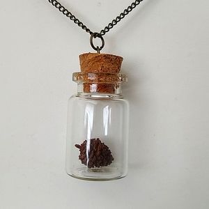 Glass Vial Mini pine cone necklace